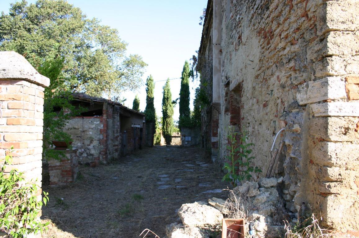 Rustico - Cascina ASCIANO vendita    AGENZIA SIENA IMMOBILIARE DI MOSCADELLI LUCIA