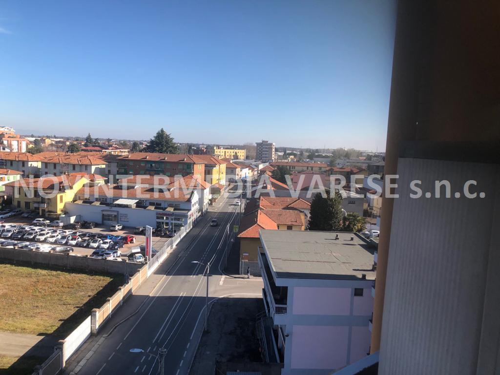 Appartamento GALLARATE vendita   via Buonarroti NOVINTERMEDIA VARESE SNC