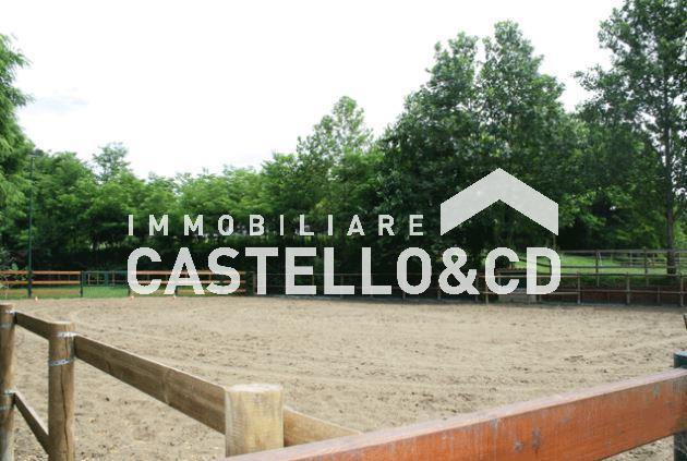 Rustico - Cascina LONATO DEL GARDA vendita   via predeschera CASTELLO&CD Immobiliare di Rambaldini Loretta