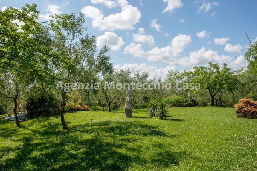 Rustico - Cascina MONTEGRIDOLFO vendita    Agenzia Montecchio Casa