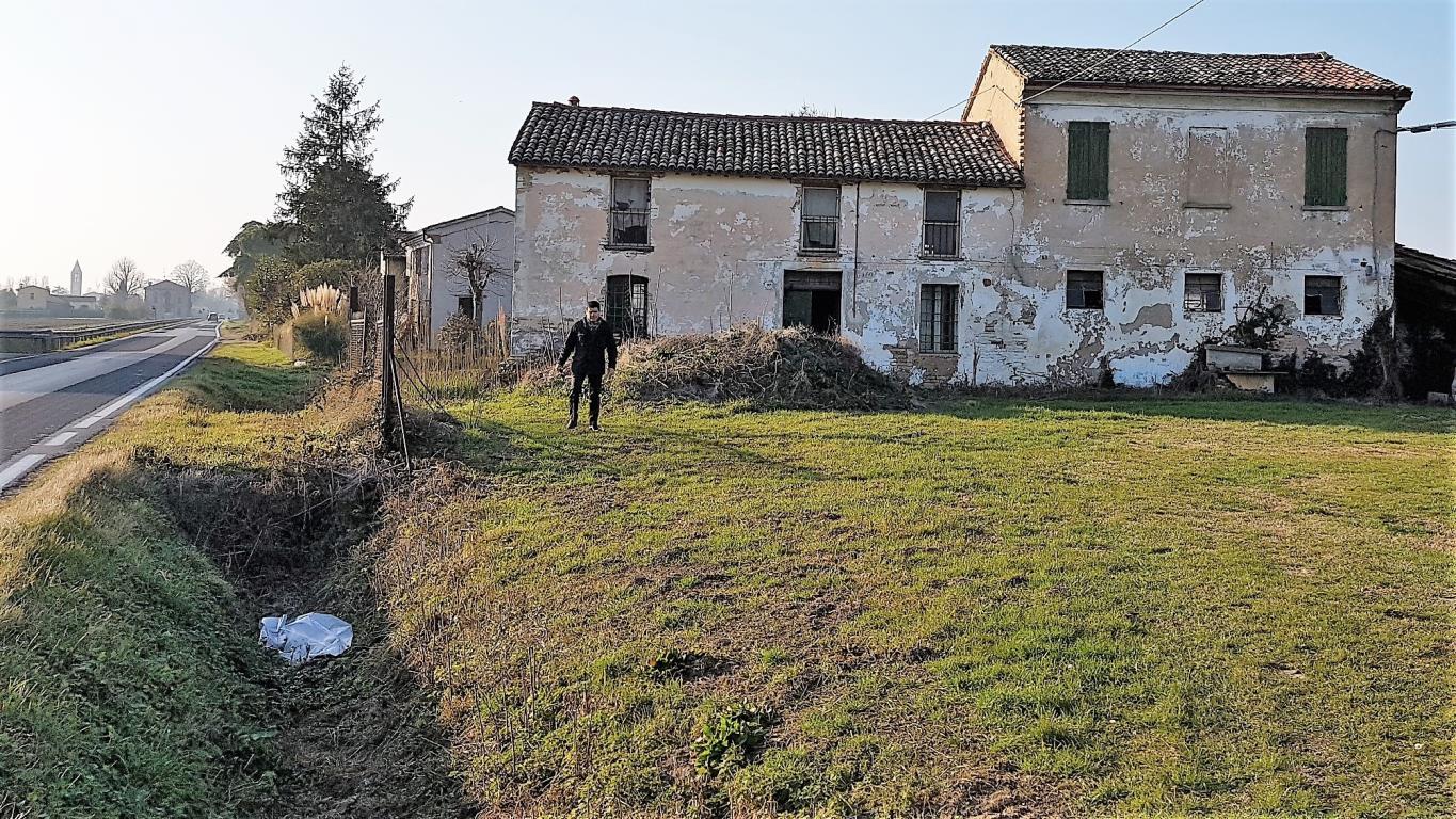 Villa Unifamiliare - Indipendente RAVENNA vendita  SANTERNO  Fratelli Savorani s.n.c.