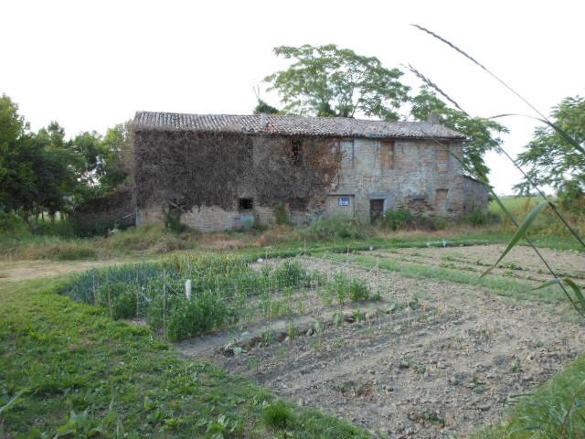 Rustico - Cascina RAVENNA vendita  PIANGIPANE  AGENZIA IMMOBILIARE ROMAGNA DI MELANDRI P. & C