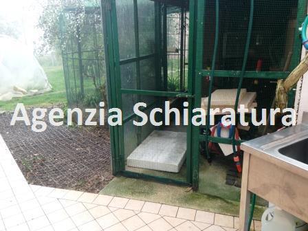 Villa MONTECICCARDO vendita    Agenzia Immobiliare Schiaratura