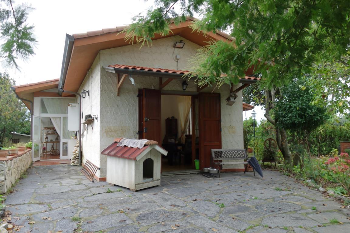 Villa AMEGLIA vendita   falaschi Bassi Immobiliare