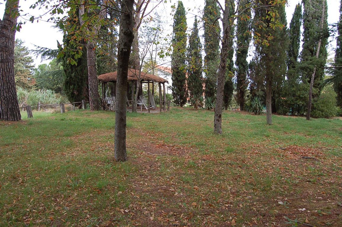  arezzo vendita quart:  torzini & mugnaini srl