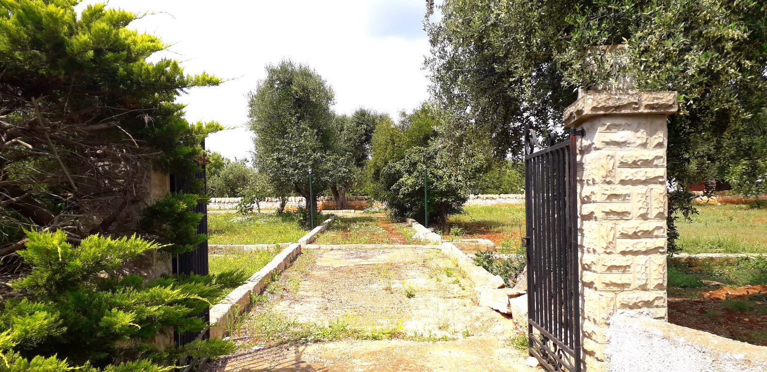 Rustico - Cascina OSTUNI vendita   CONTRADA MUSONE PRESTIGE IMMOBILIARE SRLS