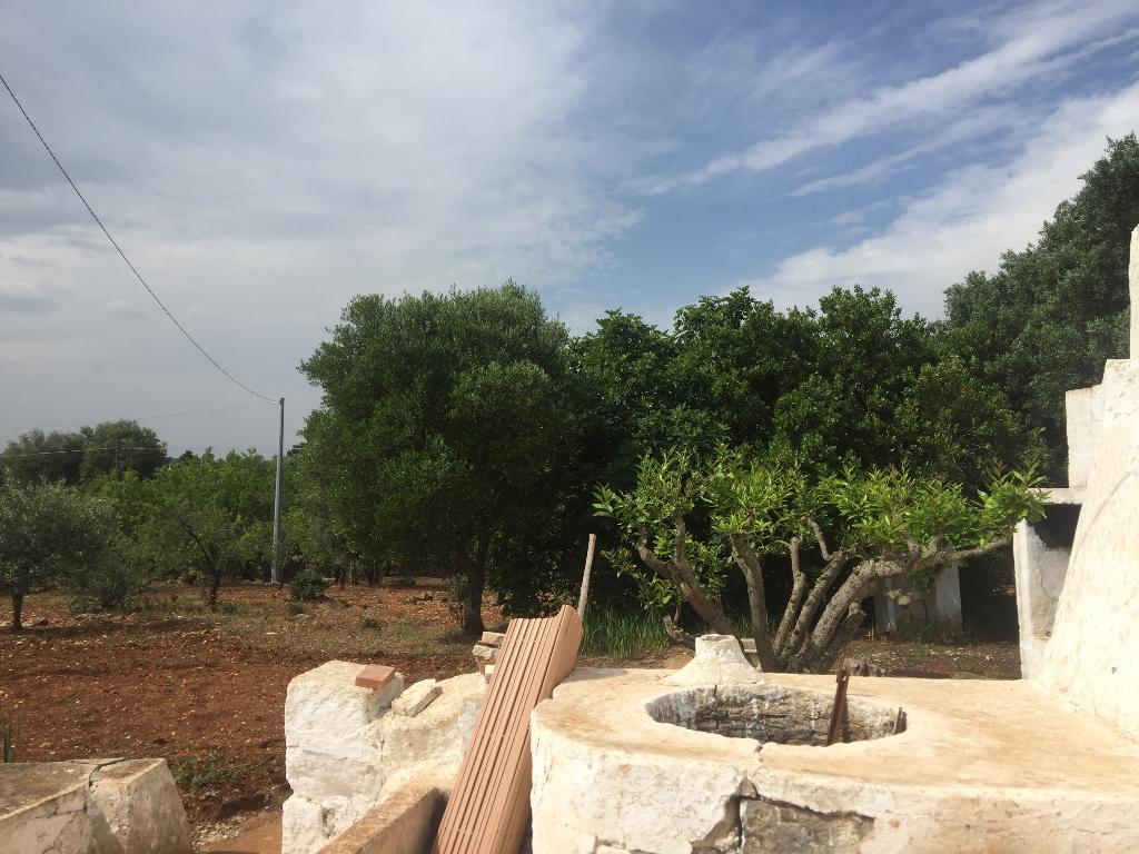 Rustico - Cascina OSTUNI vendita    PRESTIGE IMMOBILIARE SRLS