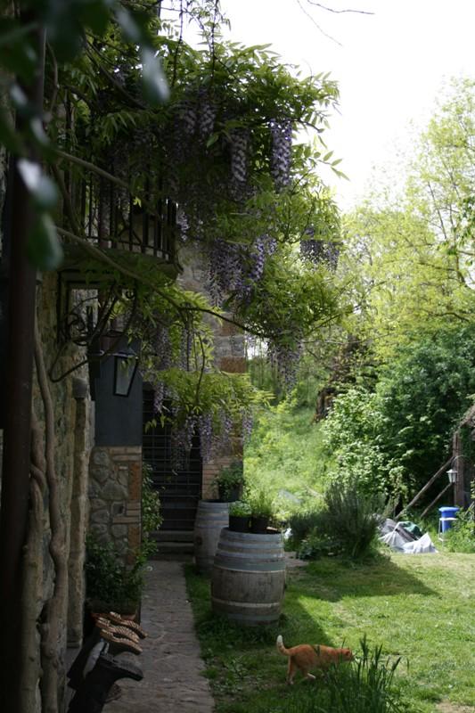 Rustico - Cascina ORVIETO vendita   Località Buonrespiro SAMO ITALIA SRL