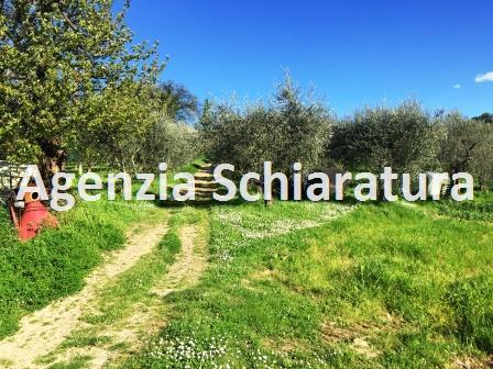 Rustico - Cascina MONTELABBATE vendita    Agenzia Immobiliare Schiaratura