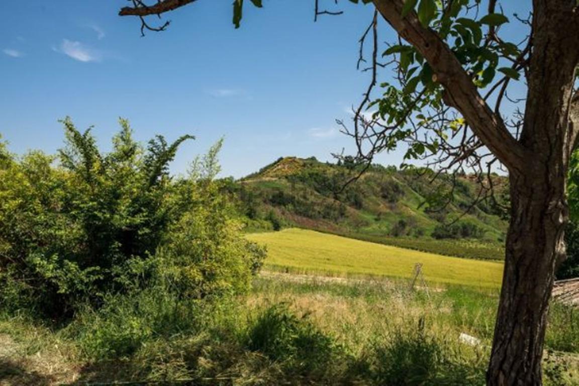 Rustico - Cascina CASALFIUMANESE vendita   via Pieve sant