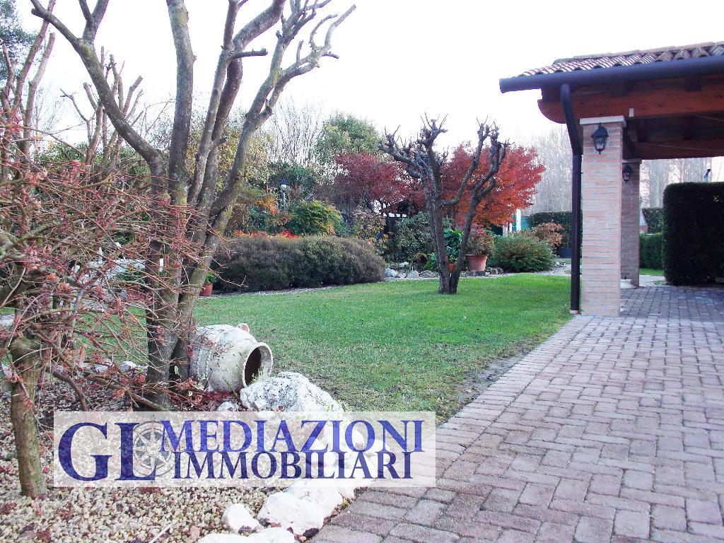 Villa Bifamiliare TREBASELEGHE vendita    GL MEDIAZIONI IMMOBILIARI S.R.L.