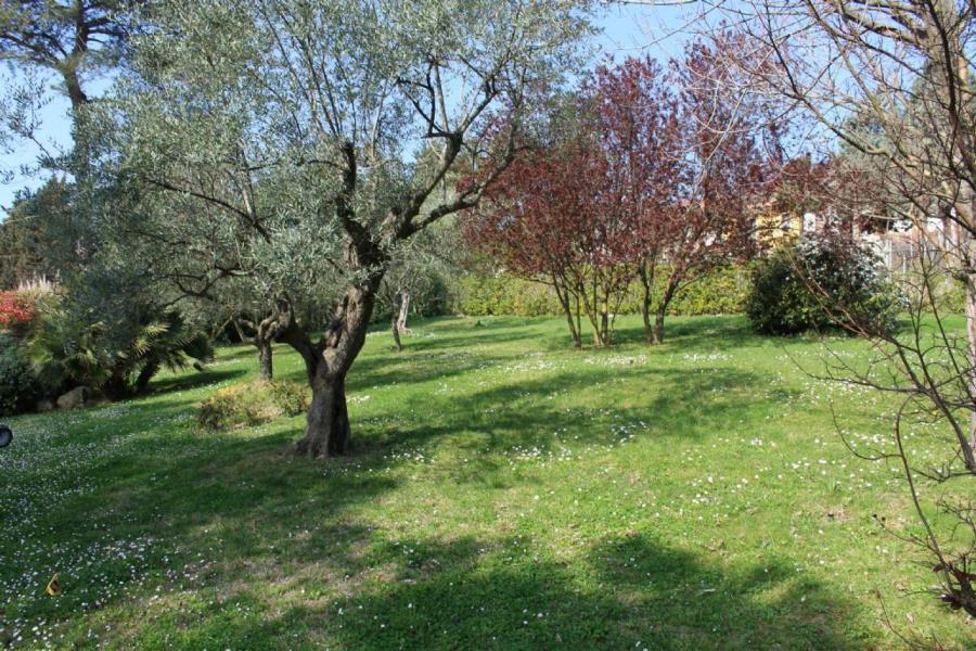 Villa Bifamiliare MONTELABBATE vendita    Agenzia Montecchio Casa