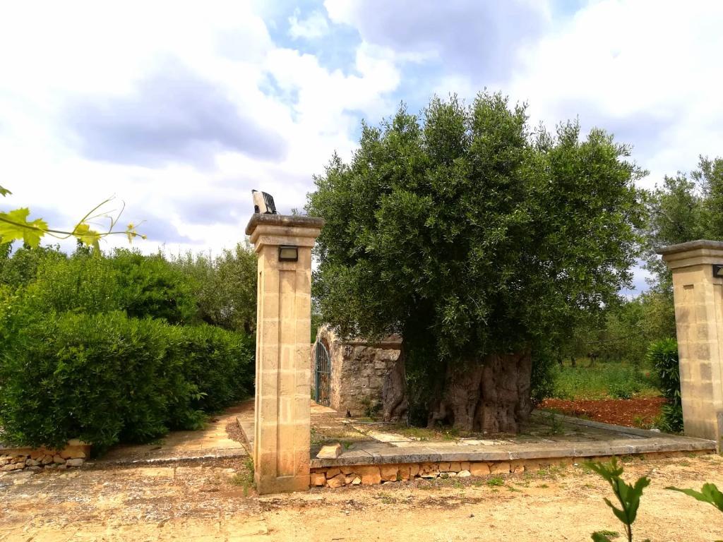 Rustico - Cascina OSTUNI vendita    PRESTIGE IMMOBILIARE SRLS