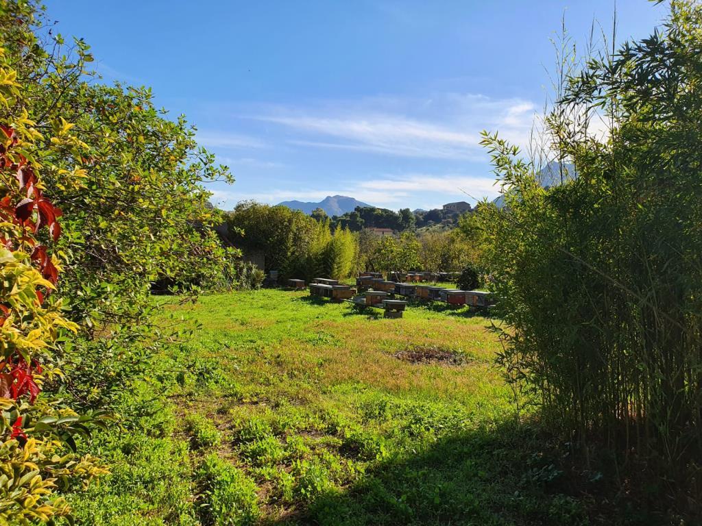  monreale vendita quart:  punto casa di claudio costantino