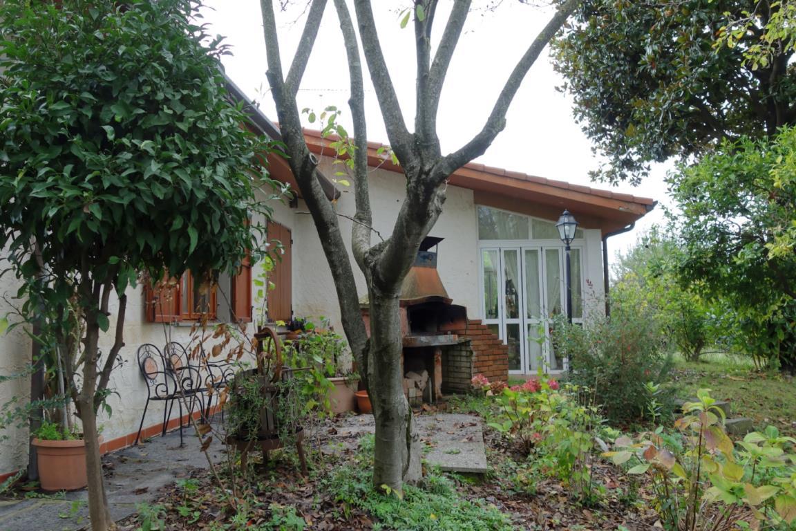 Villa AMEGLIA vendita   falaschi Bassi Immobiliare