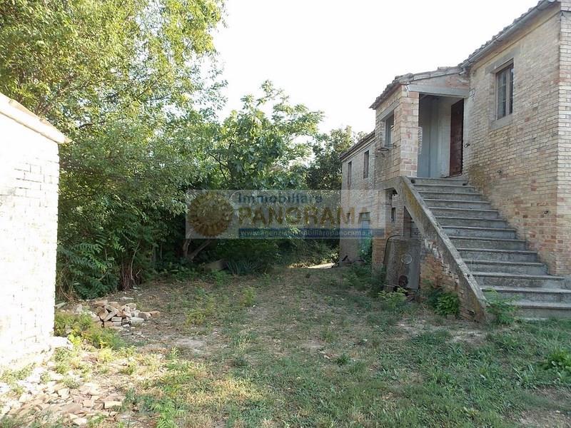 Rustico - Cascina CASTIGNANO vendita   contrada Pittura Agenzia Immobiliare Panorama