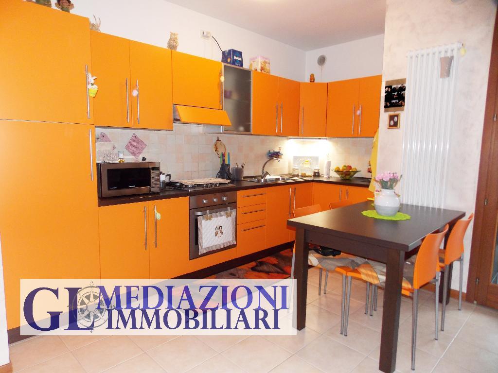 Appartamento TREBASELEGHE vendita    GL MEDIAZIONI IMMOBILIARI S.R.L.