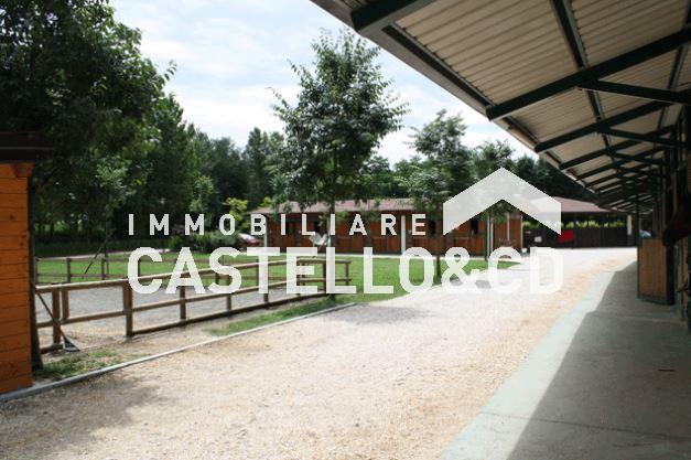 Rustico - Cascina LONATO DEL GARDA vendita   via predeschera CASTELLO&CD Immobiliare di Rambaldini Loretta