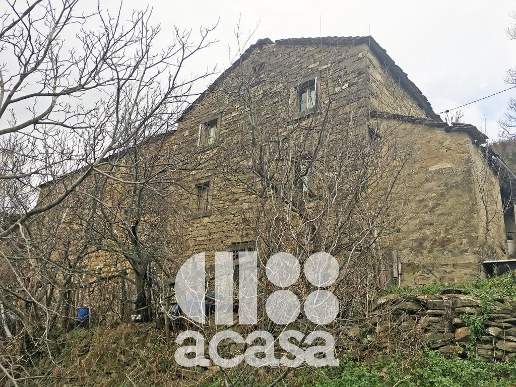 Rustico - Cascina SARSINA vendita    ACASA Srl