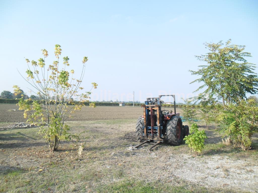 Rustico - Cascina IMOLA vendita    Immobiliare La Dimora