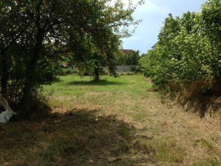 Villa Unifamiliare - Indipendente LOMELLO vendita   via roma Acquaotta Basilia Maria