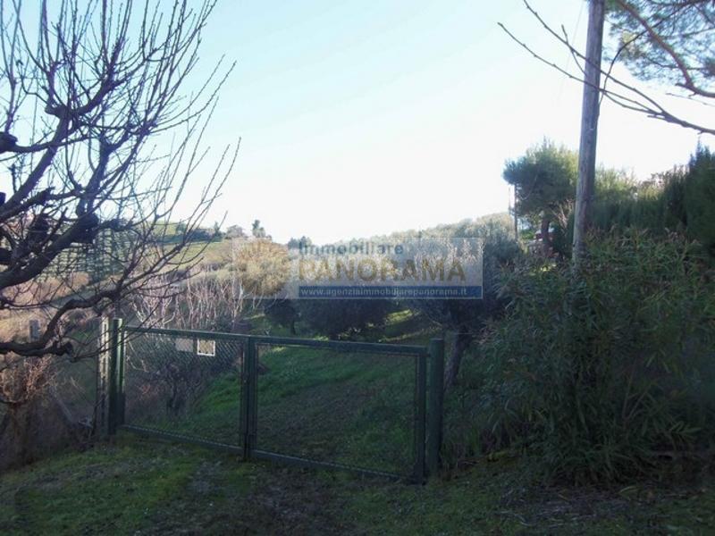 Rustico - Cascina ACQUAVIVA PICENA vendita   contrada forola Agenzia Immobiliare Panorama