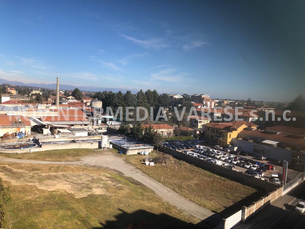 Appartamento GALLARATE vendita   via Buonarroti NOVINTERMEDIA VARESE SNC