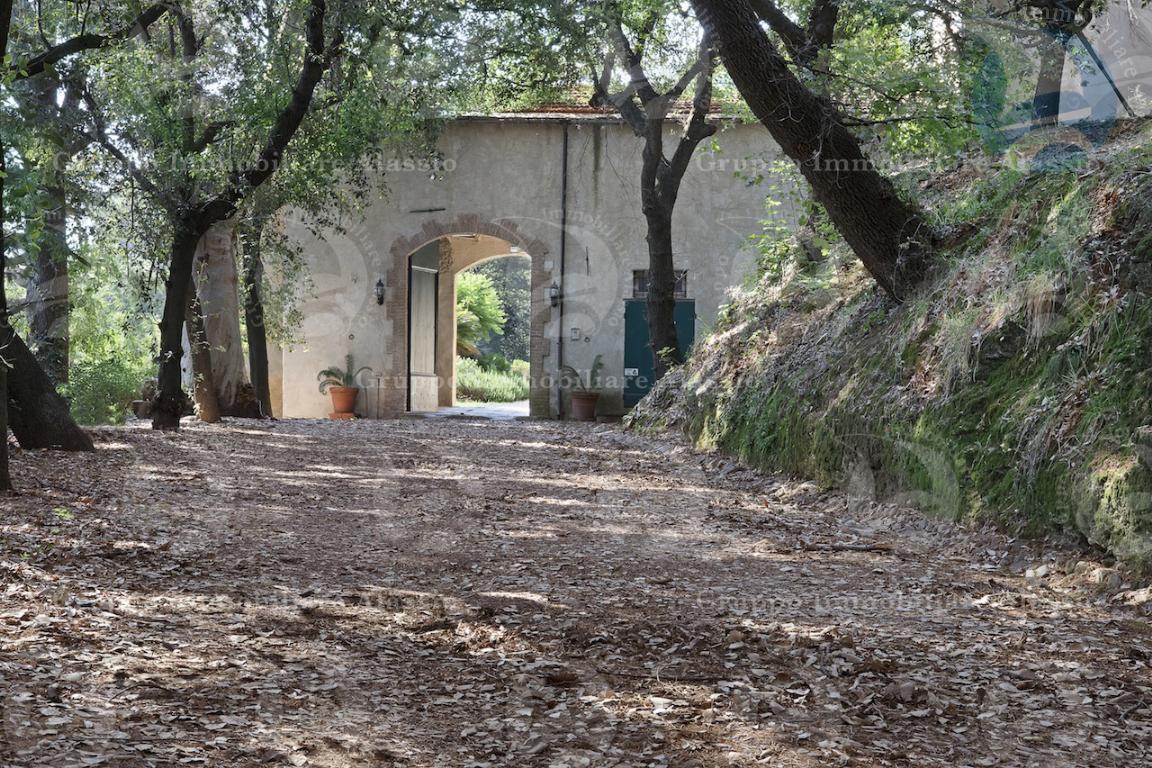 Rustico - Cascina ITALIA vendita    Ligurimmobili