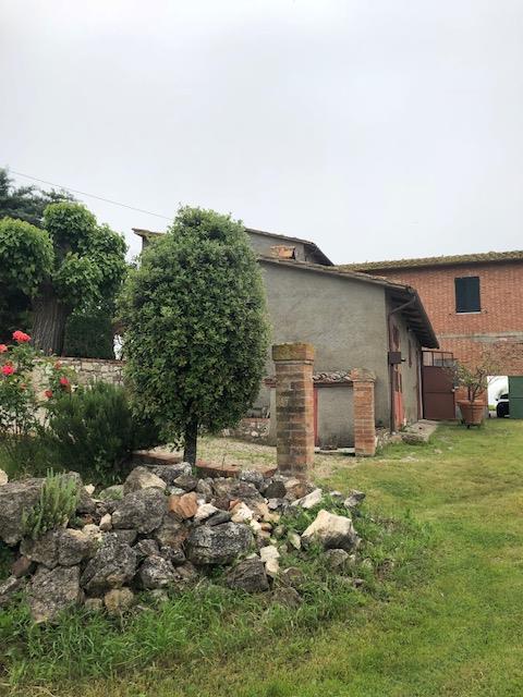 Rustico - Cascina ASCIANO vendita    LIVING DI SERENA VANNONI