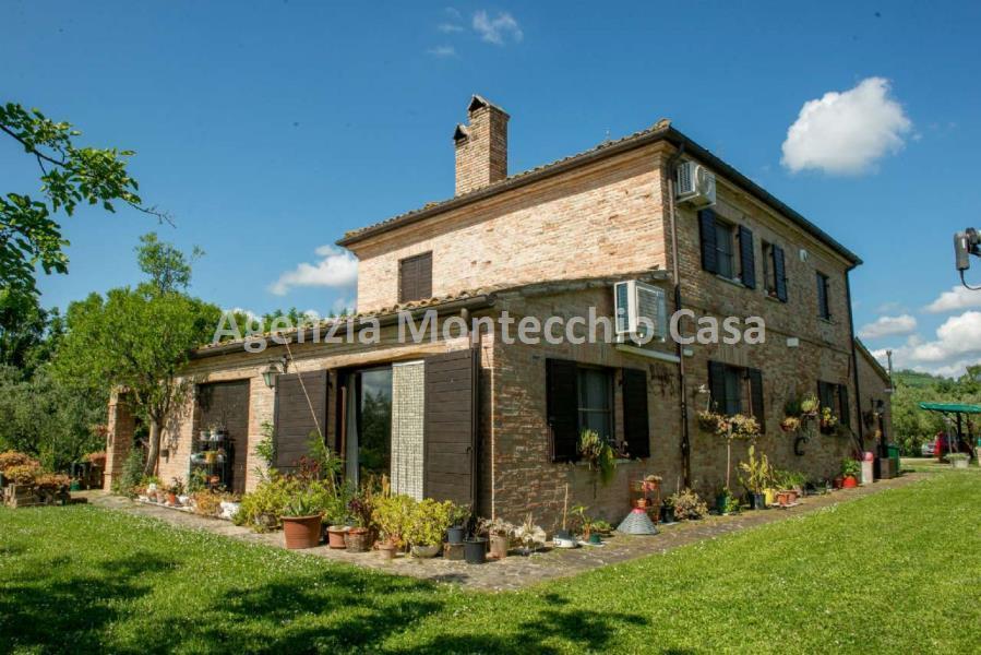 rustico - cascina montegridolfo vendita   agenzia montecchio casa