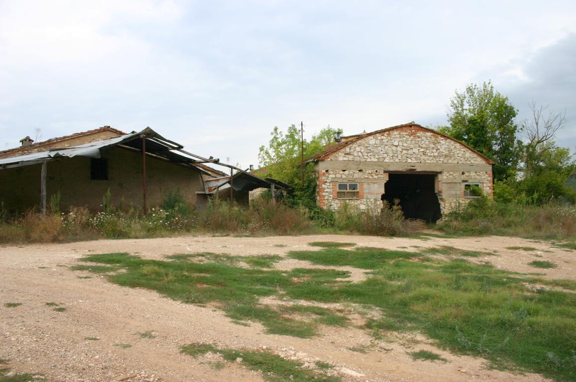 Rustico - Cascina RAPOLANO TERME vendita    AGENZIA SIENA IMMOBILIARE DI MOSCADELLI LUCIA