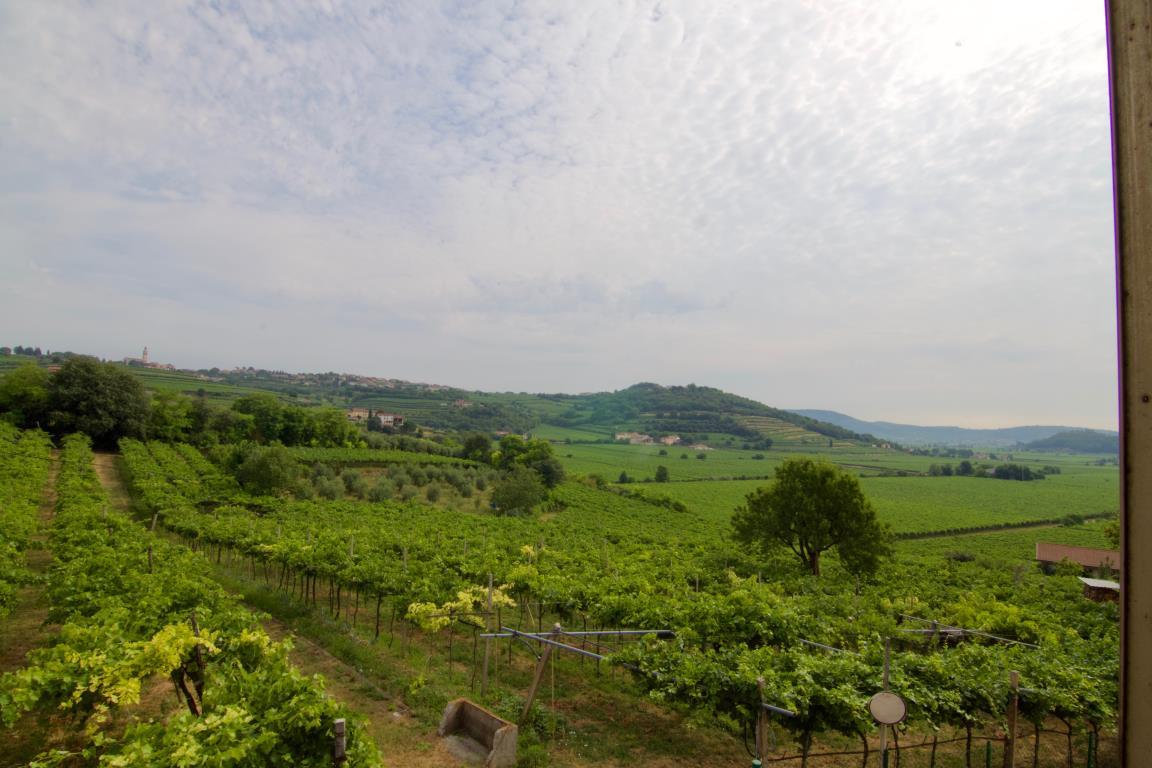 Rustico - Cascina COLOGNOLA AI COLLI vendita    UnityCasa