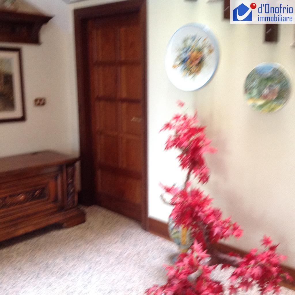 Appartamento CAMPOBASSO affitto   CONTRADA CESE STUDIO IMMOBILIARE  d