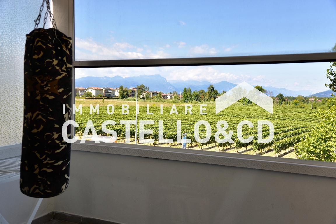 Appartamento DESENZANO DEL GARDA vendita   Via colli storici CASTELLO&CD Immobiliare di Rambaldini Loretta