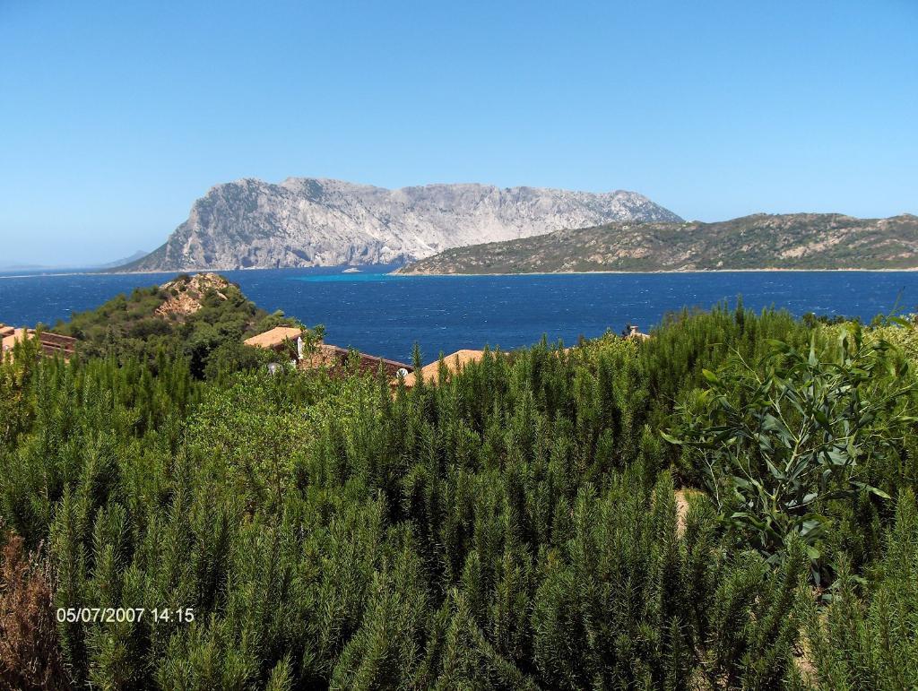  san teodoro vendita quart:  geoinvest c.s.p.e. di campanelli stefano