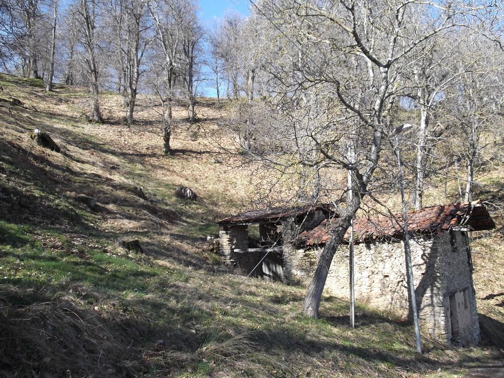 Rustico - Cascina MONTALDO DI MONDOVÌ vendita    Emmepi Case