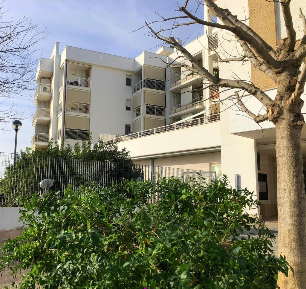 Appartamento BARI vendita  SANTA CATERINA STRADA CARBONARA PRESTIGE IMMOBILIARE SRLS