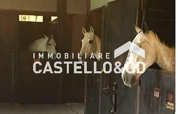  lonato del garda vendita quart:  castello&cd immobiliare di rambaldini loretta