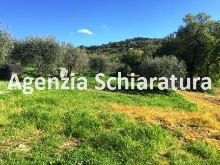 Rustico - Cascina MONTELABBATE vendita    Agenzia Immobiliare Schiaratura