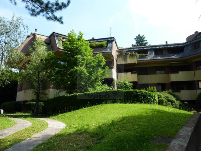 Appartamento MONZA vendita  PARCO Via Donizetti AMORUSO IMMOBILIARE