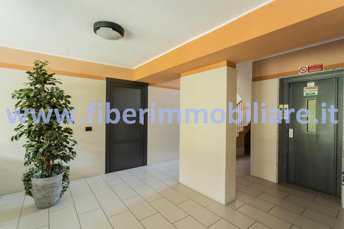 Appartamento PIOLTELLO vendita   Via Pier della Francesca FI.BER. Servizi Immobiliari Srl