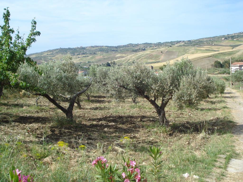 Villa AGRIGENTO vendita    CANTAVENERA ROSARIO