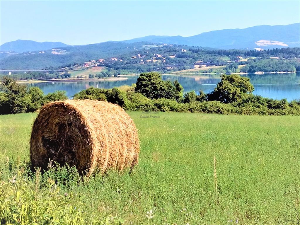 Rustico - Cascina BARBERINO DI MUGELLO vendita   Via Rivalago Immobiliare Franco Dallai