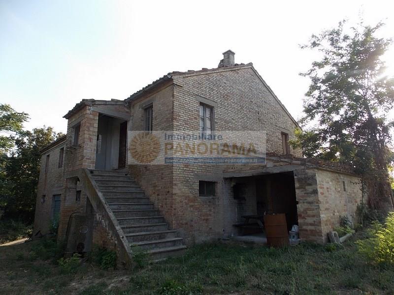 Rustico - Cascina CASTIGNANO vendita   contrada Pittura Agenzia Immobiliare Panorama