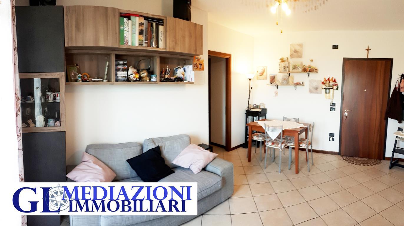 Appartamento SALZANO vendita    GL MEDIAZIONI IMMOBILIARI S.R.L.