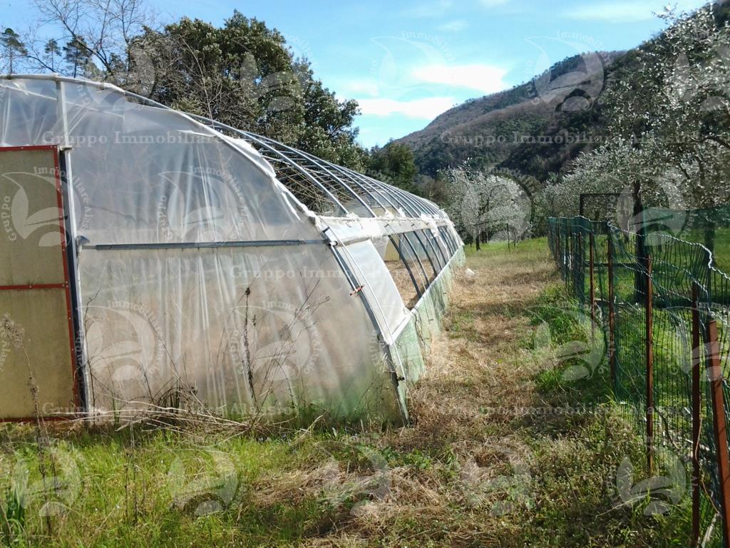 Rustico - Cascina ORTOVERO vendita    Agenzia 4 Mura