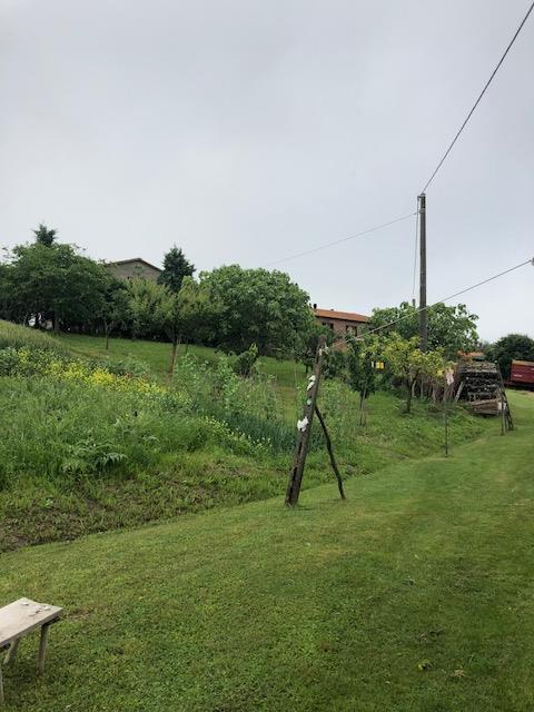 Rustico - Cascina ASCIANO vendita    LIVING DI SERENA VANNONI