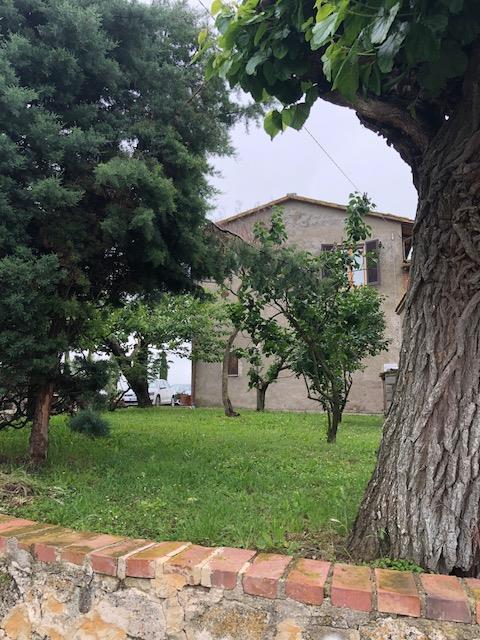 rustico - cascina asciano vendita   living di serena vannoni