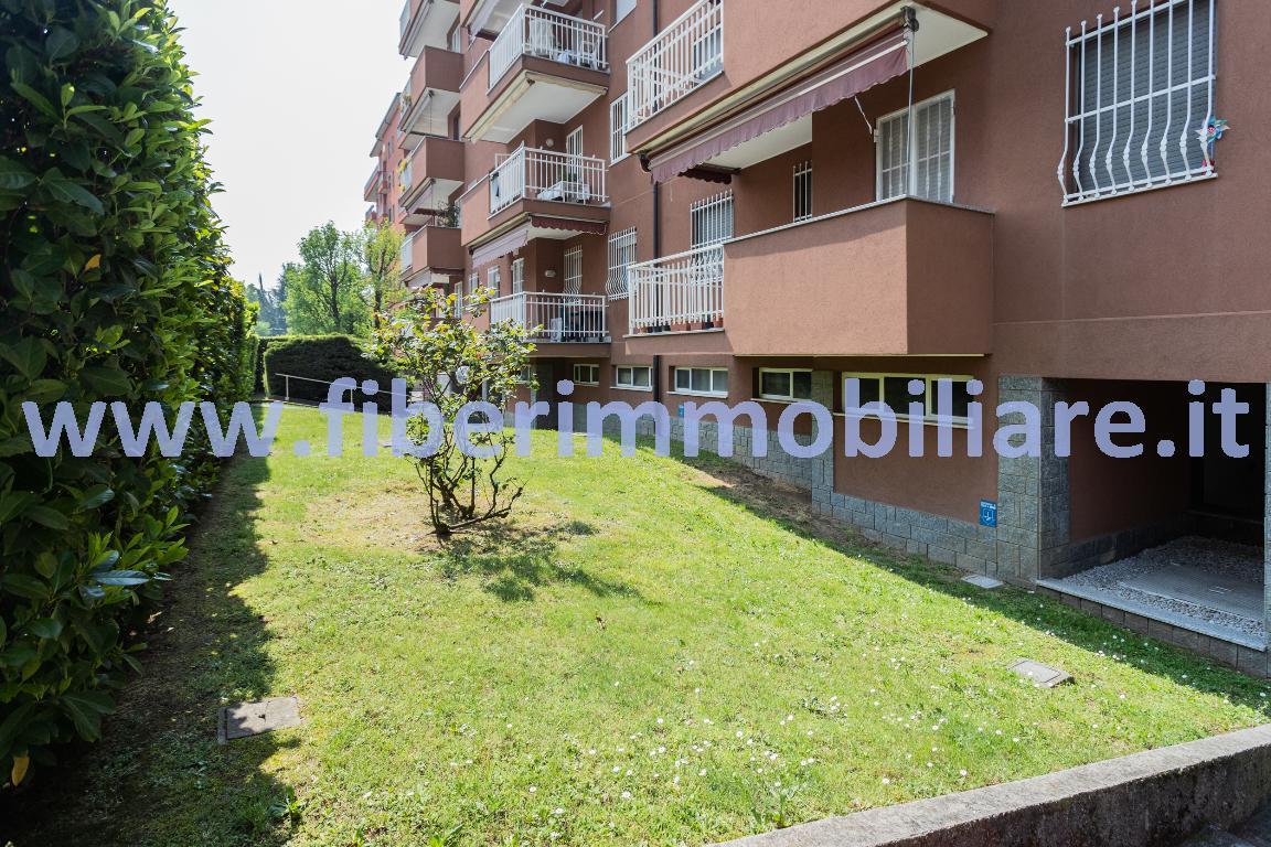 Appartamento PIOLTELLO vendita   Via Pier della Francesca FI.BER. Servizi Immobiliari Srl