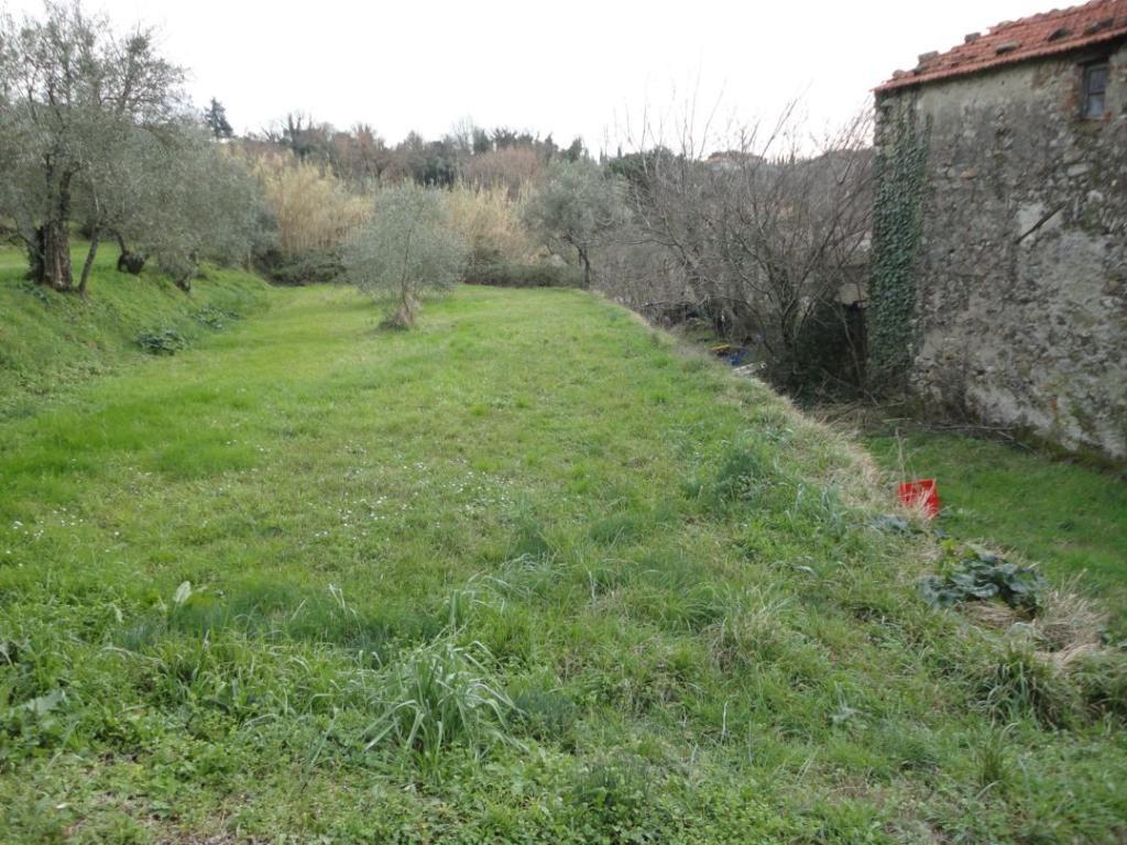 Rustico - Cascina FOSDINOVO vendita    IL CENTRO IMMOBILIARE snc di Stefano Santi